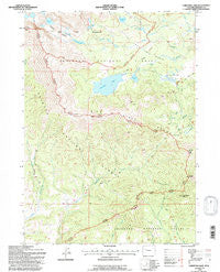 Christina Lake Wyoming Historical topographic map, 1:24000 scale, 7.5 X 7.5 Minute, Year 1991