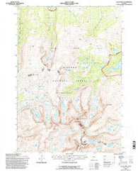Cloud Peak Wyoming Historical topographic map, 1:24000 scale, 7.5 X 7.5 Minute, Year 1993