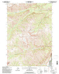 Clouds Home Peak Wyoming Historical topographic map, 1:24000 scale, 7.5 X 7.5 Minute, Year 1991