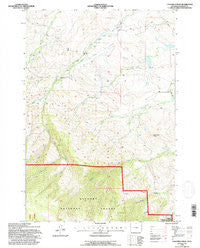 Columbus Peak Wyoming Historical topographic map, 1:24000 scale, 7.5 X 7.5 Minute, Year 1993
