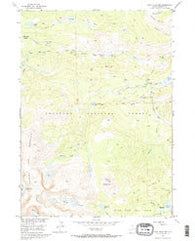 Cony Mountain Wyoming Historical topographic map, 1:24000 scale, 7.5 X 7.5 Minute, Year 1953