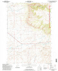Cottonwood Canyon Wyoming Historical topographic map, 1:24000 scale, 7.5 X 7.5 Minute, Year 1993