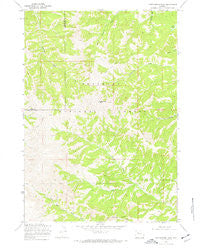 Cottonwood Peak Wyoming Historical topographic map, 1:24000 scale, 7.5 X 7.5 Minute, Year 1969