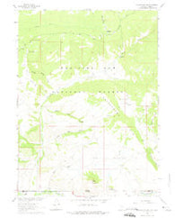Cottonwood Rim Wyoming Historical topographic map, 1:24000 scale, 7.5 X 7.5 Minute, Year 1962