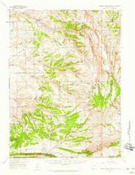Currant Creek Ranch Wyoming Historical topographic map, 1:62500 scale, 15 X 15 Minute, Year 1957
