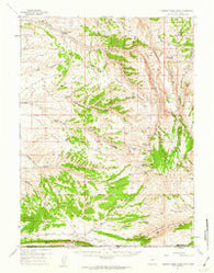 Currant Creek Ranch Wyoming Historical topographic map, 1:62500 scale, 15 X 15 Minute, Year 1957