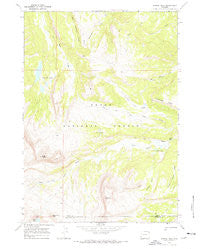 Darwin Peak Wyoming Historical topographic map, 1:24000 scale, 7.5 X 7.5 Minute, Year 1967