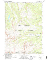 Darwin Peak Wyoming Historical topographic map, 1:24000 scale, 7.5 X 7.5 Minute, Year 1967