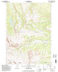Darwin Peak Wyoming Historical topographic map, 1:24000 scale, 7.5 X 7.5 Minute, Year 1996