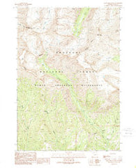 Dead Indian Peak Wyoming Historical topographic map, 1:24000 scale, 7.5 X 7.5 Minute, Year 1989