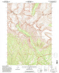 Dead Indian Peak Wyoming Historical topographic map, 1:24000 scale, 7.5 X 7.5 Minute, Year 1991