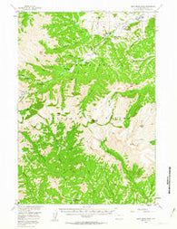 Dead Indian Peak Wyoming Historical topographic map, 1:62500 scale, 15 X 15 Minute, Year 1956