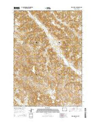 Dead Horse Lake Wyoming Current topographic map, 1:24000 scale, 7.5 X 7.5 Minute, Year 2015
