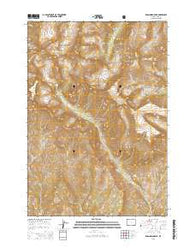 Dead Indian Peak Wyoming Current topographic map, 1:24000 scale, 7.5 X 7.5 Minute, Year 2015