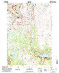 Deep Lake Wyoming Historical topographic map, 1:24000 scale, 7.5 X 7.5 Minute, Year 1991
