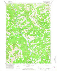 Deer Creek Wyoming Historical topographic map, 1:24000 scale, 7.5 X 7.5 Minute, Year 1965