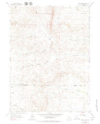 Delano Ranch Wyoming Historical topographic map, 1:24000 scale, 7.5 X 7.5 Minute, Year 1962