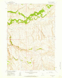 Devil Slide Wyoming Historical topographic map, 1:24000 scale, 7.5 X 7.5 Minute, Year 1960