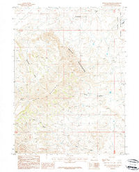 Devils Playground Wyoming Historical topographic map, 1:24000 scale, 7.5 X 7.5 Minute, Year 1987