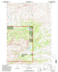 Devils Tooth Wyoming Historical topographic map, 1:24000 scale, 7.5 X 7.5 Minute, Year 1991
