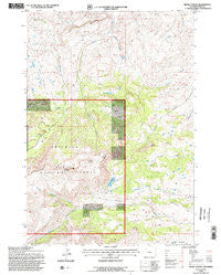 Devils Tooth Wyoming Historical topographic map, 1:24000 scale, 7.5 X 7.5 Minute, Year 1991