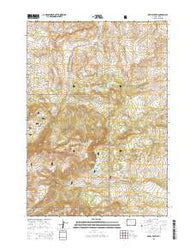 Devils Tooth Wyoming Current topographic map, 1:24000 scale, 7.5 X 7.5 Minute, Year 2015