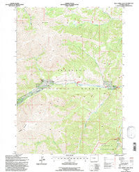 Dick Creek Lakes Wyoming Historical topographic map, 1:24000 scale, 7.5 X 7.5 Minute, Year 1991