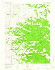 Divide Peak Wyoming Historical topographic map, 1:24000 scale, 7.5 X 7.5 Minute, Year 1961