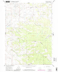 Divide Peak Wyoming Historical topographic map, 1:24000 scale, 7.5 X 7.5 Minute, Year 1961