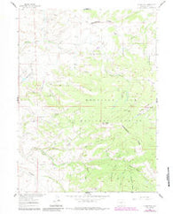 Divide Peak Wyoming Historical topographic map, 1:24000 scale, 7.5 X 7.5 Minute, Year 1961