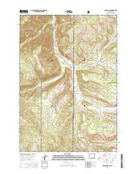 Divide Lake Wyoming Current topographic map, 1:24000 scale, 7.5 X 7.5 Minute, Year 2015