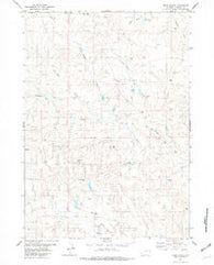 Dixon Ranch Wyoming Historical topographic map, 1:24000 scale, 7.5 X 7.5 Minute, Year 1981