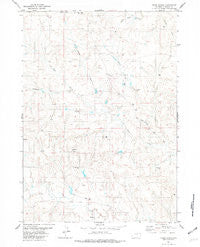 Dixon Ranch Wyoming Historical topographic map, 1:24000 scale, 7.5 X 7.5 Minute, Year 1981