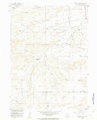 Double L Ranch Wyoming Historical topographic map, 1:24000 scale, 7.5 X 7.5 Minute, Year 1953