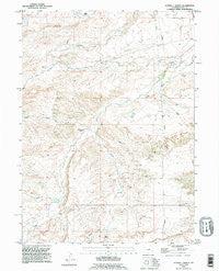 Double L Ranch Wyoming Historical topographic map, 1:24000 scale, 7.5 X 7.5 Minute, Year 1990