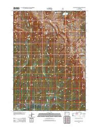 Doubletop Peak Wyoming Historical topographic map, 1:24000 scale, 7.5 X 7.5 Minute, Year 2012