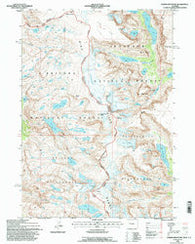 Downs Mountain Wyoming Historical topographic map, 1:24000 scale, 7.5 X 7.5 Minute, Year 1991