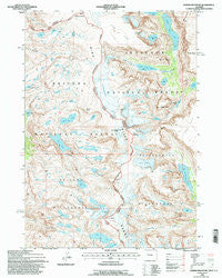 Downs Mountain Wyoming Historical topographic map, 1:24000 scale, 7.5 X 7.5 Minute, Year 1991