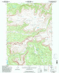 Dundee Meadows Wyoming Historical topographic map, 1:24000 scale, 7.5 X 7.5 Minute, Year 1991