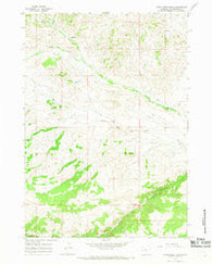 Eagle Nest Ranch Wyoming Historical topographic map, 1:24000 scale, 7.5 X 7.5 Minute, Year 1965