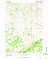 Eagle Nest Ranch Wyoming Historical topographic map, 1:24000 scale, 7.5 X 7.5 Minute, Year 1965