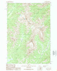 Eagle Peak Wyoming Historical topographic map, 1:24000 scale, 7.5 X 7.5 Minute, Year 1989