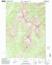 Eagle Peak Wyoming Historical topographic map, 1:24000 scale, 7.5 X 7.5 Minute, Year 1991