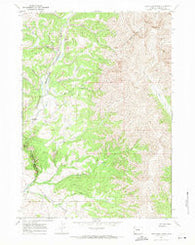 East Fork Basin Wyoming Historical topographic map, 1:24000 scale, 7.5 X 7.5 Minute, Year 1967