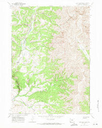 East Fork Basin Wyoming Historical topographic map, 1:24000 scale, 7.5 X 7.5 Minute, Year 1967