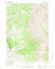 East Fork Basin Wyoming Historical topographic map, 1:24000 scale, 7.5 X 7.5 Minute, Year 1967