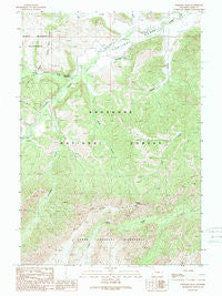 Elkhorn Peak Wyoming Historical topographic map, 1:24000 scale, 7.5 X 7.5 Minute, Year 1989