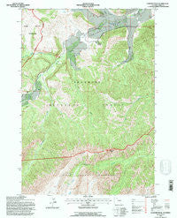 Elkhorn Peak Wyoming Historical topographic map, 1:24000 scale, 7.5 X 7.5 Minute, Year 1991