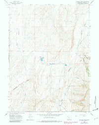 Fillmore Ranch Wyoming Historical topographic map, 1:24000 scale, 7.5 X 7.5 Minute, Year 1966