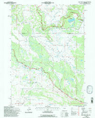 Fish Creek Park Wyoming Historical topographic map, 1:24000 scale, 7.5 X 7.5 Minute, Year 1991